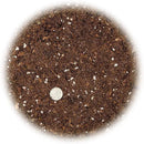 Citrus Tree Potting Soil Mix, Special Blend for Indoor Oranges, Lemons, Limes and More - (5 Quart Bag) by GreenHaven Gardens