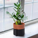 6.5 Inch Self-Watering Planter Pot with Terracotta Insert, Deep Water Reservoir, and Ceramic-Alike BPA-Free Plastic Pot for Plant, Modern Planter for Houseplants, Black/Terracotta, 53-B-S-5 by CozyNest Decor
