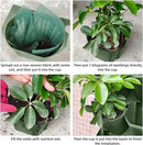 Self Watering Wall Mounted Vertical Planter, 36 Pots Wall Planter Indoor Vertical Living Green Plant Wall Easy Installation (Green) by CozyNest Decor