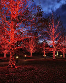 Twinkle Star 4 Pack Outdoor Solar String Lights, Total 160 FT 480 LED Solar Powered Valentines Day Decorative Fairy Lights with 8 Modes, Waterproof Silver Wire Light for Christmas Wedding Party, Red by GreenHaven Gardens