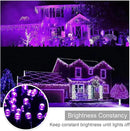 weillsnow Purple Christmas Lights, 200 LED 66Ft Plug in Waterproof Christmas String Lights, 8 Modes with Memory for Outdoor Indoor Garden Tree Patio Christmas Decorations (66FT, Purple) by GreenHaven Gardens