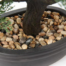 Artificial Bonsai Tree Juniper Faux Plants Indoor Small Fake Plants Decor with Black Plastic Pots for Home Table Office Desk Bathroom Shelf Bedroom Living Room Farmhouse Decorations by GreenHaven Gardens