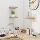 Fun Memories Floating Shelves for Wall - 10" x 10" Wood Shelf with Invisible Bracket - Deep Floating Shelves - 10 Inch Shelf Wall-Mounted for Living Room & Bathroom - Oak - Set of 2 by CozyNest Decor