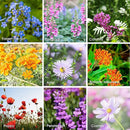 Wildflower Seeds Shaker - Hummingbird and Butterfly Mix - 100,000+ Wild Flower Seeds - in Beautiful Easy to Sow Seed Shaker - Attract Pollinators with These 23 Pure Non-GMO Varieties by GreenHaven Gardens