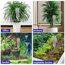 Self Watering Planter Insert Devices, Garden Automatic Watering System, Plant Watering Spikes for Outdoor Plants, Potted Plant Watering System for Vacation（16 PCS) by GreenHaven Gardens