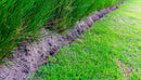 Brownie Brand Majestic Hulled Bermudagrass Seed | Premium Turf Grass for Dense, Drought-Resistant Lawns | Fast-Growing, Heat-Tolerant, Certified Seed for High-Traffic Areas. (50 Pound) by GreenHaven Gardens