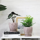 6 Inch Retro Ceramic Planter Set of 2 with Drainage Hole and Saucer for Plants, Indoor-Outdoor Garden Pots for Succulent, Orchid, and Flower (Fits Inner Pots Up to 5 Inches, Retro Peach) by CozyNest Decor