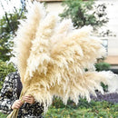 40" 11 PCS Dried Pampas Grass Decor Tall,Large Natural Beige pompas Grass,Tall Pampas Grass for Floor Vase,Wedding,Party,Farmhouse,Boho Home Decor,and Creating a Bohemian Ambiance by CozyNest Decor
