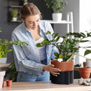 8 Inch Self-Watering Planter Pot with Terracotta Insert, Deep Water Reservoir, and Ceramic-Alike BPA-Free Plastic Planter Pot for Plant, Modern Planter for Houseplants, Black/Terracotta, 53-B-T-5 by CozyNest Decor