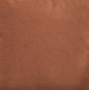 Caygan - Throw Pillow