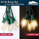 Joiedomi 30.75FT C9 Christmas Pathway Stake Lights 24 LED Jumbo Bulbs, Warm White Outdoor Walkway Decor with Green Wire Connectable for Holiday Commercial Xmas Yard Garden Lawn by GreenHaven Gardens