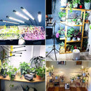 wolezek Grow Lights for Indoor Plants Full Spectrum, LED Grow Light with Adjustable Stand and Sturdy Clip, 5-Heads Plant Grow Lights Indoor with Auto 6/12/16H Timer, 3 Light Modes, 5 Levels Dimmable by GreenHaven Gardens