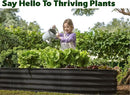 Galvanized Raised Garden Beds Outdoor // 8×4×1 ft (2-Pack) Planter Raised Beds for Gardening, Vegetables, Flowers // Large Metal Garden Box // Patented Tool-Free Design (Black) by GreenHaven Gardens