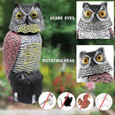 Owl Decoys to Scare Birds Away with Rotating Head,Natural Enemy Bird Deterrent Realistic Eyes & Waterproof Shape Fake Owl Scarecrow Bird Control by GreenHaven Gardens