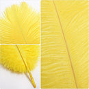THARAHT Yellow Ostrich Feathers 24pcs Natural Bulk 10-12Inch 25cm-30cm for Crafts Wedding Party Centerpieces Halloween and Home Decoration Feathers by CozyNest Decor