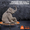 CLORIS 38in/48in Folding Trampoline - Max Load 220lbs / 450lbs Mini Trampoline Rebounder Trampoline for Adults with Adjustable Foam Handle, with safty Padded Cover Best Gift for Kids/Adult by TinyTreasures Baby Boutique