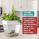 Back to the Roots Indoor Hydroponic Garden - 3 Gallon Self Watering, Mess-Free Planter for Herbs, Microgreens, Bamboo, Succulents, and Houseplants, Green by GreenHaven Gardens