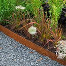 Worth Garden 6-Pack Cor-Ten Steel Landscape Edging with Black Protection Strips - Rust Patina Finish 40" L x 5.5" H (20Ft Total) - Hammer-in 14-Gauge Metal Corten Lawn Yard Edging Border w/ 7 Clips by CozyNest Decor