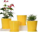 Ton Sin Plant Pots, 6 Inch Flower Pots for Plants,Ceramic Planter with Drainage Holes,Indoor Planter Pots with Saucer,Outdoor Garden Pots (Yellow, 4 Pack) by GreenHaven Gardens