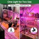 wolezek Grow Lights for Indoor Plants, Full Spectrum LED Plant Grow Light with Adjustable Stand and Sturdy Clip, 5-Heads Plant Light with Auto 6/12/16H Timer, 3 Light Modes, 5 Levels Dimmable by GreenHaven Gardens