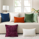 decorUhome Fall Chenille Soft Throw Pillow Covers 24x24 Set of 2, Farmhouse Velvet Neutral Decorative Euro Pillow Covers with Stitched Edge for Couch Sofa Bed Home Decor, Rust
