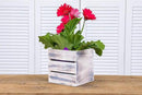Wood Planter Box with Wine Crate Styled, 5 Inch Square, Whitewash, Plastic Liner, Garden Centerpiece Display, Wedding Flowers Holder, Home and Venue Decor (5x5 Wine Crate Set of 4, Whitewash) by GreenHaven Gardens