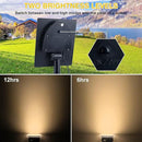 20 LED IP65 Waterproof Outdoor Spot Lights - Dusk-to-Dawn 3000K Warm White Solar Landscape Lights for Yard, Garden, Driveway, Porch, Walkway by GreenHaven Gardens