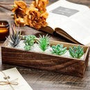 Dandat 4 Set Wood Boxes for Centerpieces Rectangle Wooden Planter Box Rustic Wood Planter with Removable Plastic Liner Floral Foam Blocks for Centerpieces Home Wedding Garden Decor (12x4 Inch) by GreenHaven Gardens