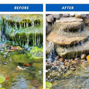 CrystalClear Algae D-Solv Pond Algae Control, Fast-Acting EPA Registered Algaecide, Use in Fountains & Outdoor Ponds Containing Koi & Other Fish, Treats 5,760 Gallons, 16 Ounces by GreenHaven Gardens