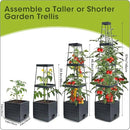MQFORU Raised Garden Bed, 57" Tomato Planter with Trellis, Tomato Cages for Climbing Vegetables Plant, Self Watering Tomato Support Box for Garden Pots, Use for Patios Greenhouse Indoor Outdoor（1Pc） by GreenHaven Gardens