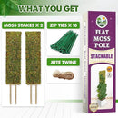 DUSPRO Flat Mesh Moss Poles for Climbing Plants Monstera Stackable Moss Pole for Plants with Real Moss Moss Plant Pole for Potted Plants Handmade Moss Stick for Indoor Plants Grow Upward 2 Pack 22” by GreenHaven Gardens