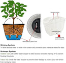 2 Pack Resin Wall Hanging Planter Pots Vertical Garden Living Wall Mount Window Hang Box Container Indoor Outdoor for Plants Flowers Kitchen Herbs Holder with Drainage Water Reservoir Decor White by GreenHaven Gardens