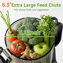 Cold Press Juicer, 5.3" Wide Feed Chute Juice Extractor Machine with 400W, High Juice Yield, Slow Masticating Juicer for Whole Vegetables & Fruits, Deep Grey by CozyNest Decor