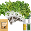 inbloom Asian Herb Seed Pod Kit for AeroGarden, iDoo, Ahopegarden, 7 Pods with 350+ Seeds (Basil, Parsley, Cilantro, Chrysanthemum, Pak Choi, Crystalline Ice Plant, Onion) Hydroponics Growing System by GreenHaven Gardens