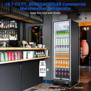 BODEGACOOLER Commercial Beverage Refrigerator Glass Door,18.1 Cu.Ft Commercial Display Merchandiser Fridge,Upright Display Bar Cooler with Soft LED Light,Adjustable Shelves,Aluminum Door,Black by CozyNest Decor