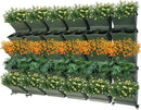 JOMCYDM Vertical Planter with 30 Pockets Wall Mounted Planter Living Wall Planter Indoor Outdoor Wall Plant Holder Microgreens Growing Kit Herb Pots by CozyNest Decor