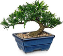 Artificial Bonsai Tree Faux Plants Indoor Small Fake Plants Decor with Blue Ceramic Pots for Home Table Office Desk Bathroom Shelf Bedroom Living Room Farmhouse Decorations by GreenHaven Gardens