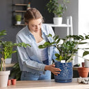 D'vine Dev 6 Inch Embossed Leaves Stoneware Planter Pot with Drainage Hole and Saucer, Midnight Blue, 27-A-X-3 by GreenHaven Gardens