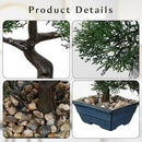 Artificial Bonsai Tree Juniper Faux Plants Indoor Fake Plants Decor with Blue Ceramic Pots for Home Table Office Desk Bathroom Shelf Bedroom Living Room Farmhouse Decorations-Pine by GreenHaven Gardens