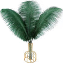 THARAHT Blackish Green Ostrich Feathers 12pcs Large Natural Bulk 14-16Inch 35cm-40cm for Wedding Party Centerpieces Mardi Gras Decoration Feather by CozyNest Decor