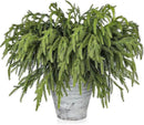 Artgar 12 Pcs Pine Branches - 18 Inch Artificial Green Pine Stem - Real Touch Christmas Greenery Pines Branches for DIY Flower Arrangement Home Indoor Christmas Decor by CozyNest Decor