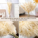 40" 33PCS Dried Pampas Grass Decor Tall,Large Natural Beige pompas Grass Tall Pampas Grass for Floor Vase,Wedding,Party,Farmhouse,Boho Home Decor,and Creating a Bohemian Ambiance by CozyNest Decor