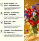 Eden Brothers Field of Dreams Flower Mixed Seeds for Planting, 1 lb, 480,000+ Seeds with German Chamomile, Cornflower | Attracts Pollinators, Plant in Spring or Fall, Zones 3, 4, 5, 6, 7, 8, 9, 10 by GreenHaven Gardens