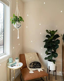Hanging Disco Ball Planter 8" - with Acrylic Stand and Macrame Plant Hanger - Home Décor, Room Décor, Patio or Boho Décor, Mirror Disco Planter, Disco Decor (8" No Base) by GreenHaven Gardens