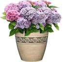 Classic Home and Garden Corinthian Resin Flower Pot Planter, Concrete Grey, 10" by GreenHaven Gardens