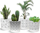 Ton Sin Plant Pots,5.5 Inch White Pots for Indoor Plants with Drainage Holes,Cylinder Flower Pot Ceramic Planters with Saucer,Cactus Succulent Outdoor Garden Pots Set of 4 by GreenHaven Gardens