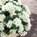Hananona 12 Pcs Artificial Geranium Flowers for Outdoors Geranium Silk White Flower Outdoor UV Resistant Garden Plants Faux Flowers for Home Kitchen WeddingTable Centerpieces Decor (12, White) by CozyNest Decor