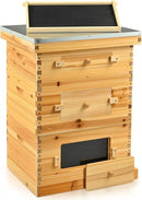 CREWORKS 10 Frame Bee Hive, 3 Layers Beeswax Coated Beehive Starter Kit with Frames & Foundations, Langstroth Bees Hives Box with Transparent Acrylic (Window Medium Box & 2 Deep Boxes) by GreenHaven Gardens