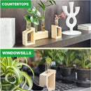 Plant Propagation Station - 3-Piece Wooden Stand with 4 Glass Test Tubes, Terrarium Vases for Plants, Hydroponic Propagation Planter for Home office Decor, Plant Lover Gift. by GreenHaven Gardens