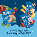 Gerber Baby Food, Baby Snacks, Discovery Pack, Teethers Strawberry Apple Spinach (2) and Yogurt Melts Mixed Berries (2) Peach (2), Crawler (8+ Months) Variety Pack (Pack of 6) by TinyTreasures Baby Boutique